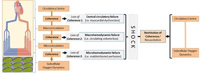 Editorial: Microcirculation Guided/Targeted Resuscitation